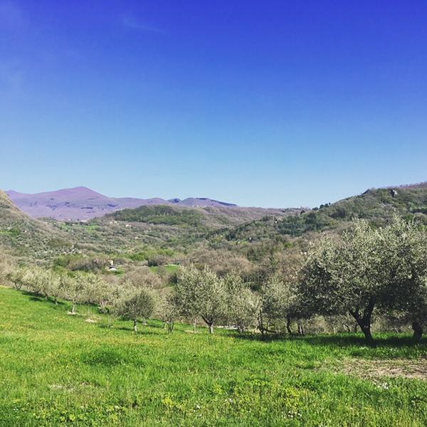 A Transformative 7-day Retreat in Italy with Ky Keenan